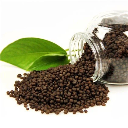 DAP Diammonio fosfatas